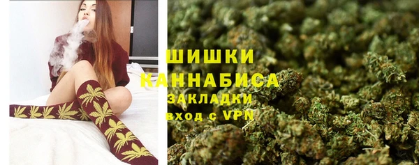 амф Медногорск